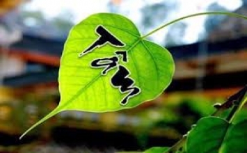 Nổi giận